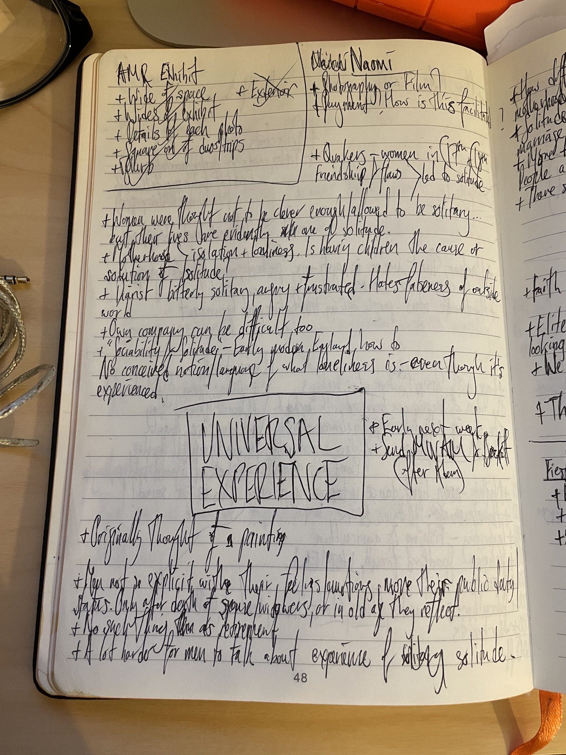 pages from the artist's diary documenting the project